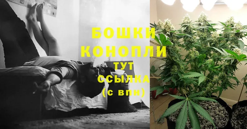 Марихуана SATIVA & INDICA  сайты даркнета клад  Нелидово 